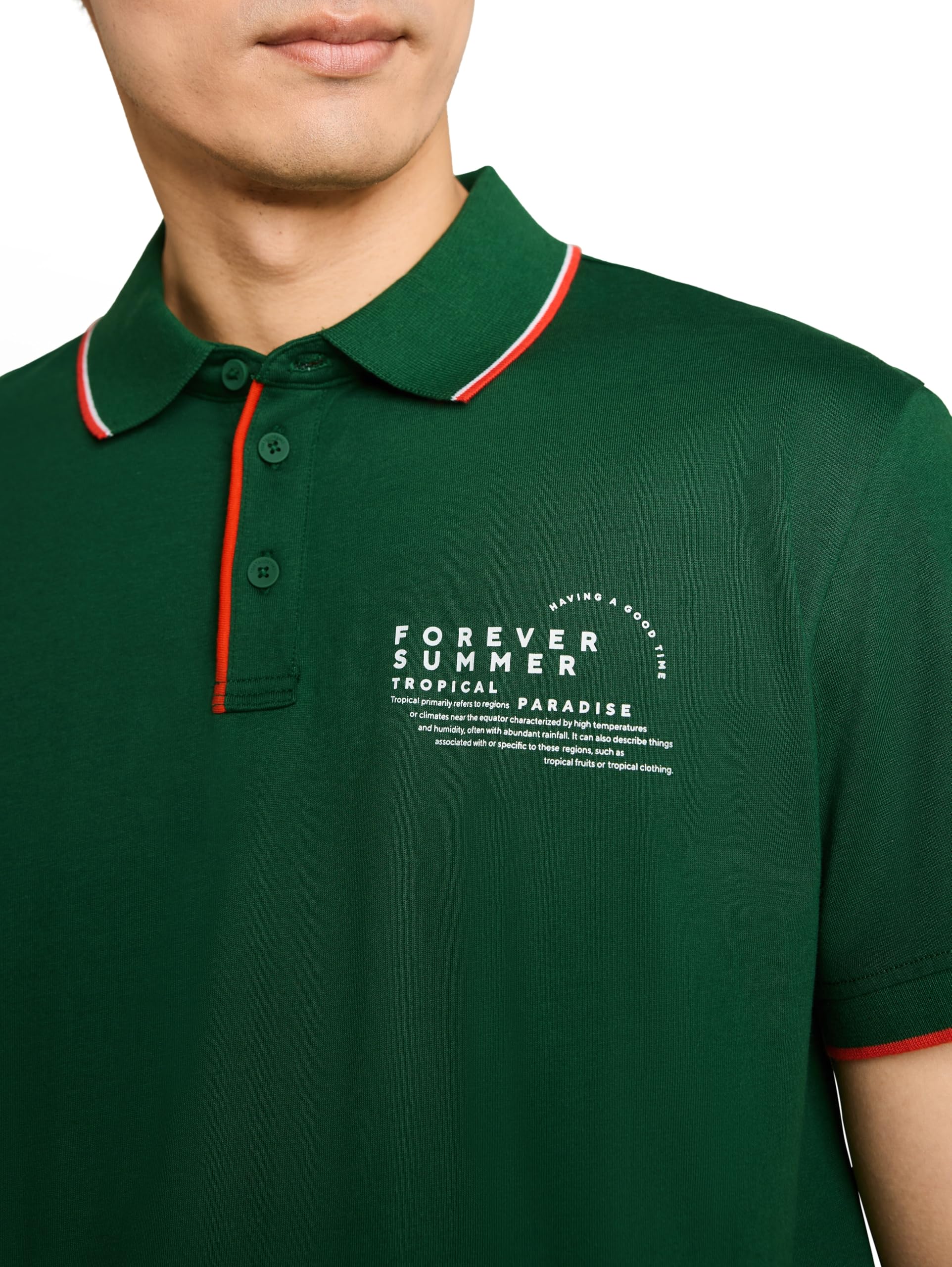 tom-tailor-1053338-herren-jersey-poloshirt-mit-print image 4
